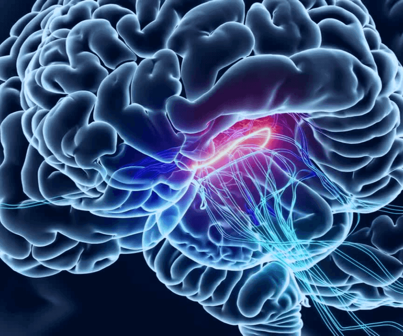 Neuro Energizer